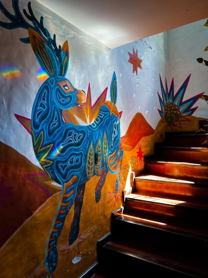 Yunga Hostel Salta Ngoại thất bức ảnh