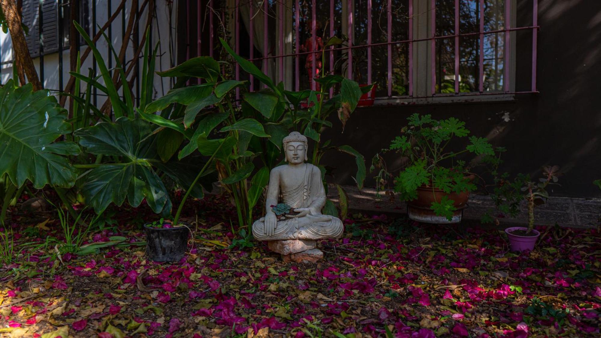 Yunga Hostel Salta Ngoại thất bức ảnh