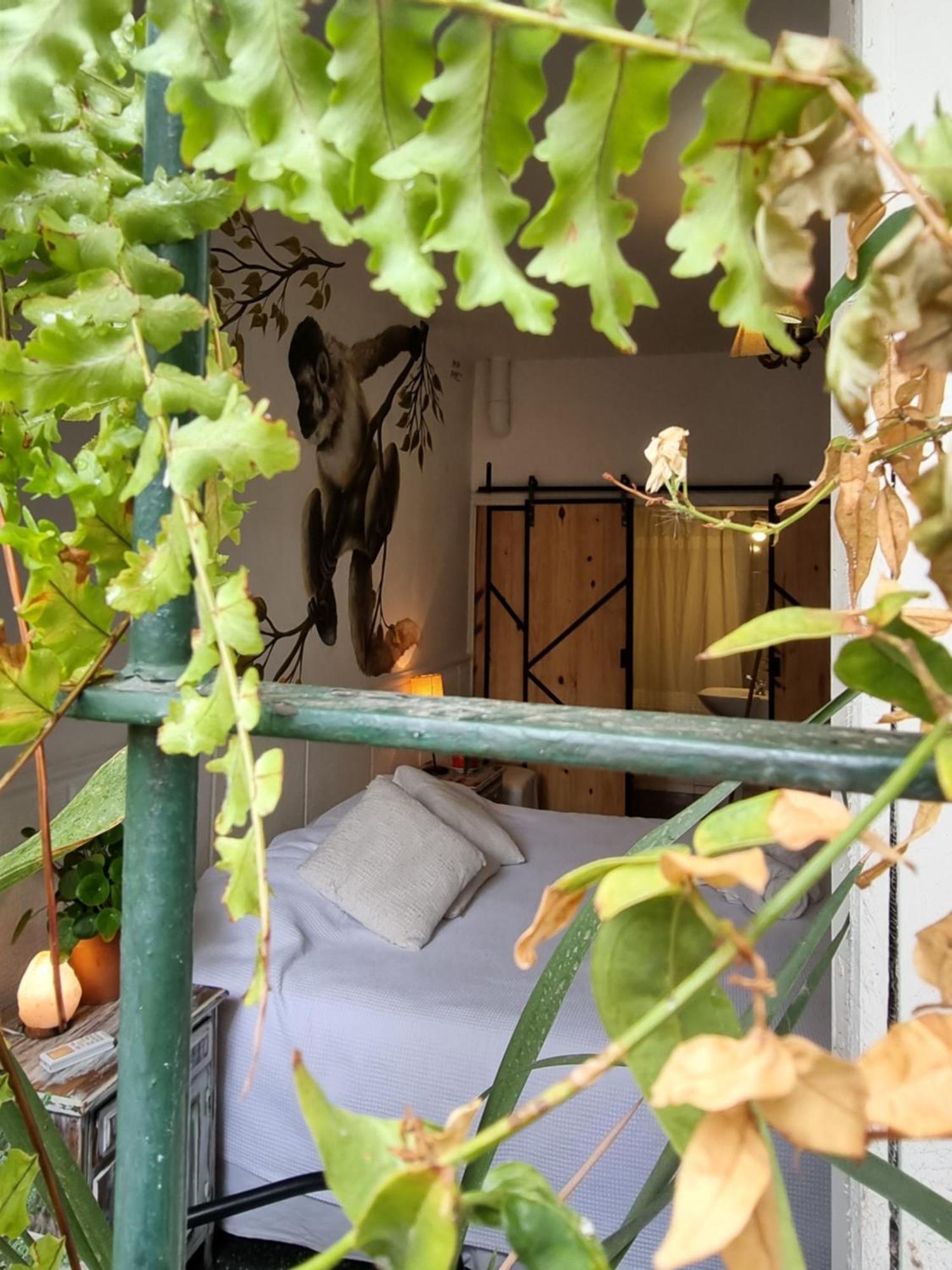 Yunga Hostel Salta Phòng bức ảnh
